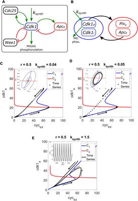 Pseudo-nullclines enable the analysis and prediction of signaling model dynamics
